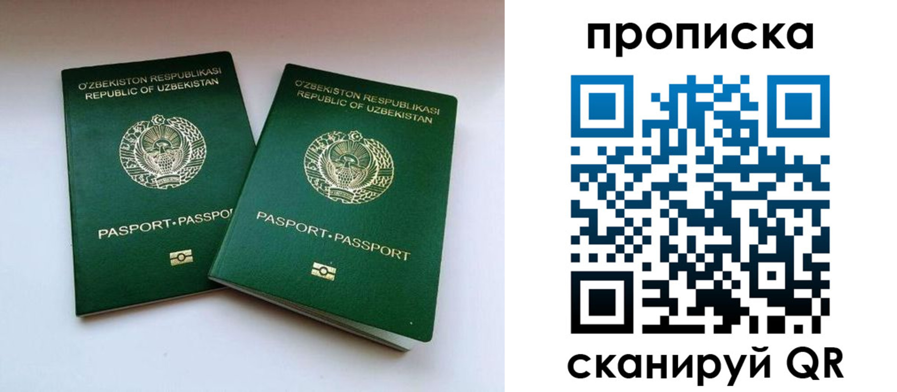 временная регистрация в квартире в Красногорске